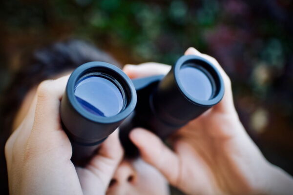 Fernglas oder Teleskop für Anfänger Fernglas oder Teleskop: Vergleich für Anfänger beim Sternenschauen